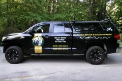 humane wildlife control services dover, nh