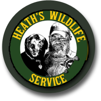 Heath's Wildlife Service